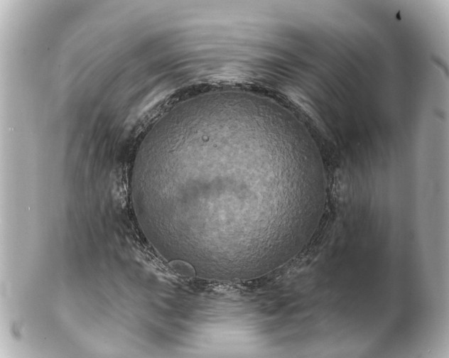 X0000100921015200807011302