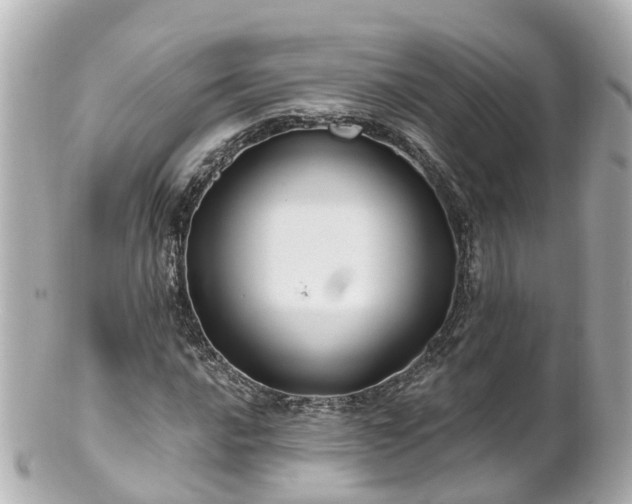 X0000100921016200807011302