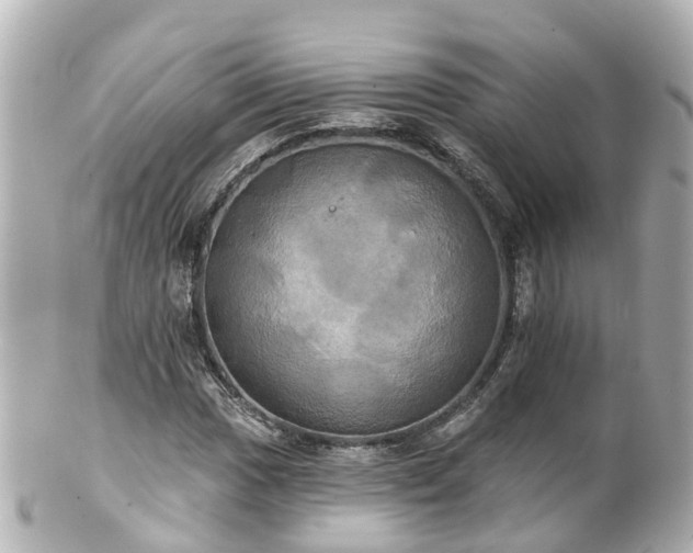 X0000100921017200807011302