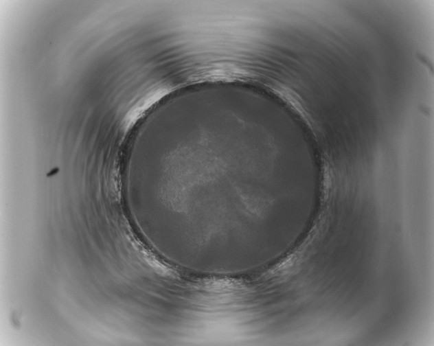 X0000100921018200807011302