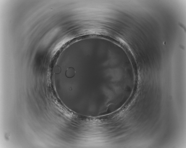 X0000100921019200807011302