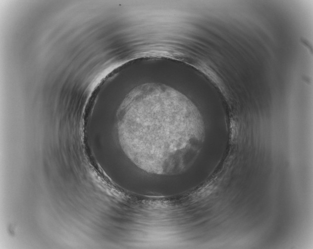 X0000100921020200807011302