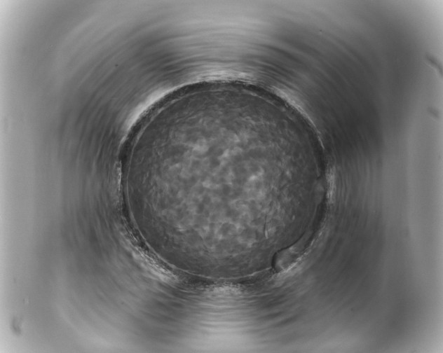 X0000100921021200807011302