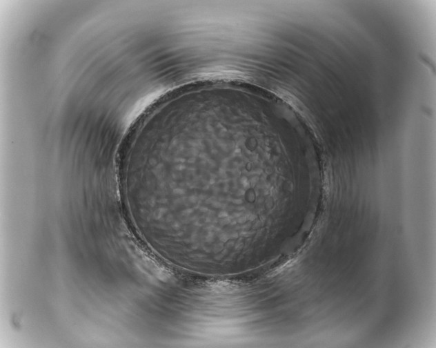 X0000100921022200807011302