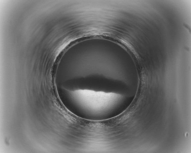 X0000100921023200807011302