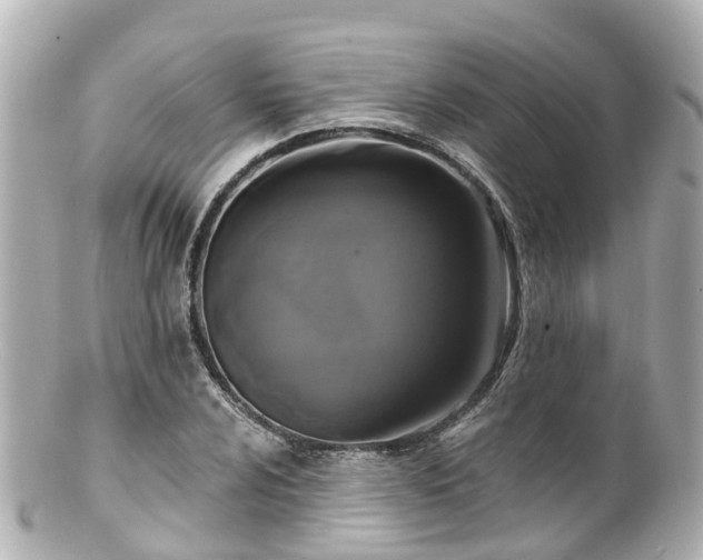 X0000100921024200807011302