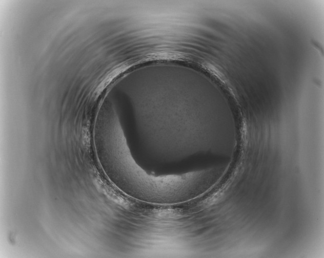 X0000100921025200807011302