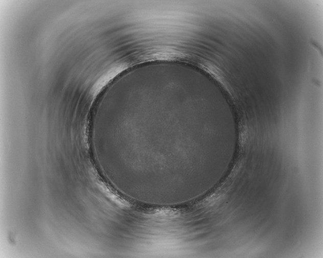 X0000100921026200807011302