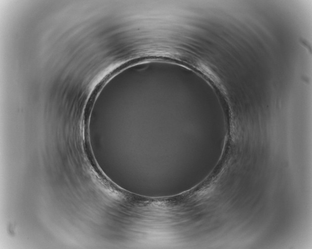 X0000100921028200807011302