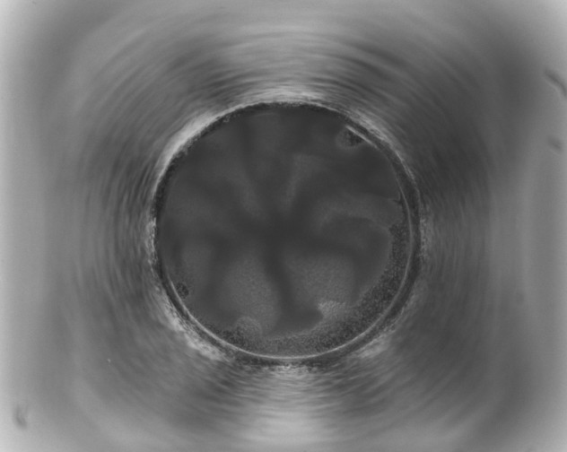 X0000100921029200807011302