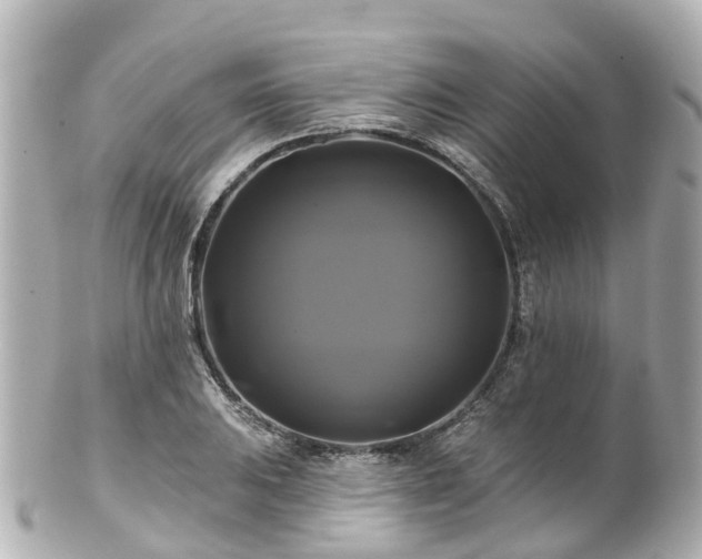 X0000100921031200807011302