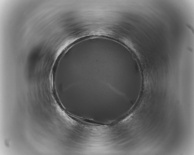 X0000100921032200807011302