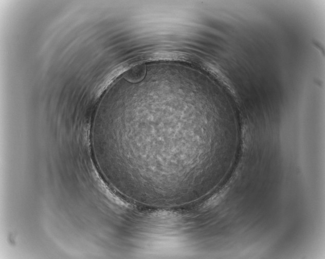 X0000100921033200807011302