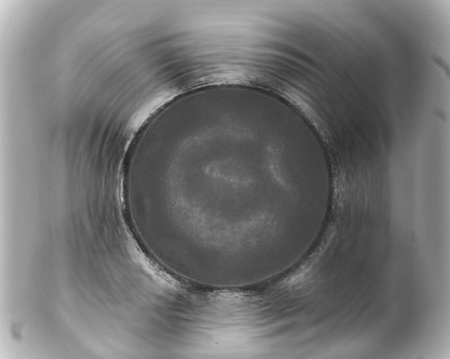 X0000100921034200807011302