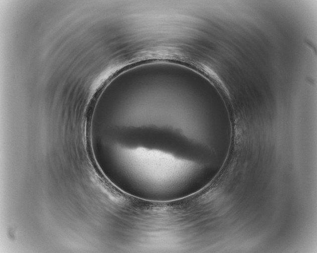 X0000100921035200807011302