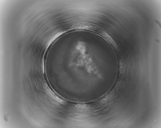 X0000100921036200807011302