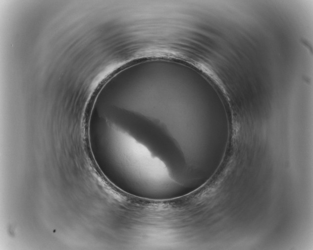 X0000100921037200807011302