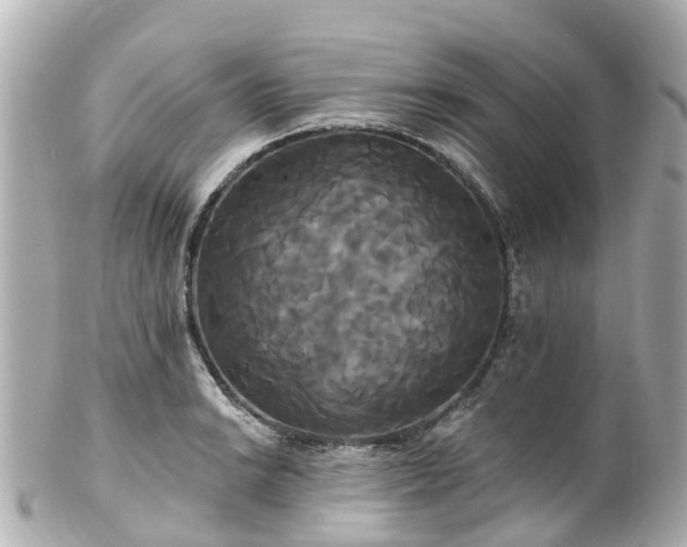 X0000100921038200807011302