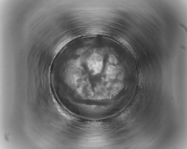 X0000100921039200807011302