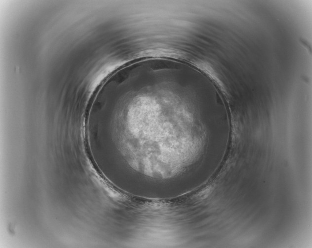 X0000100921040200807011302