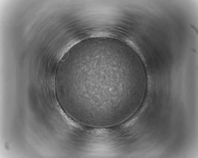 X0000100921041200807011302