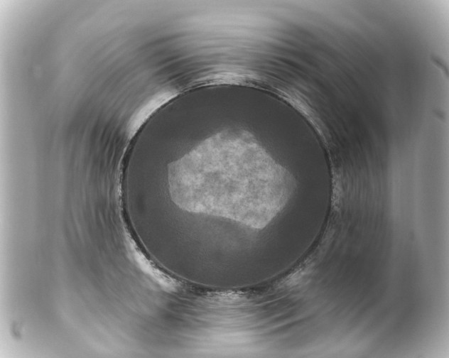 X0000100921042200807011302