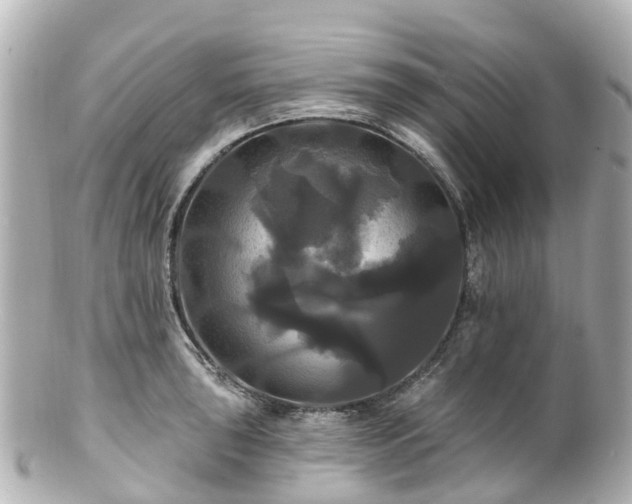 X0000100921043200807011302