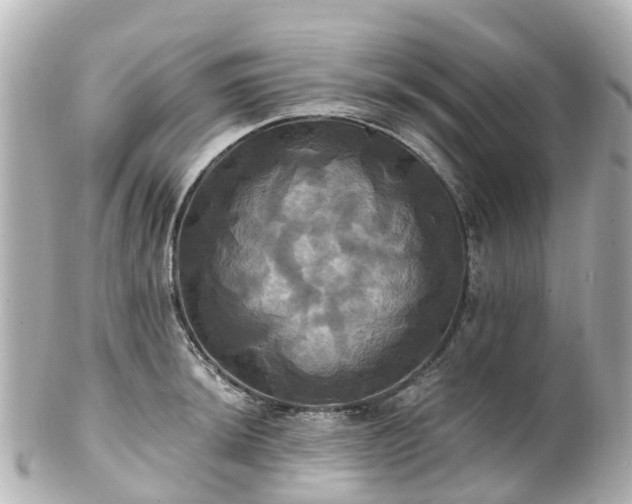 X0000100921044200807011302