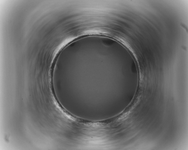 X0000100921045200807011302