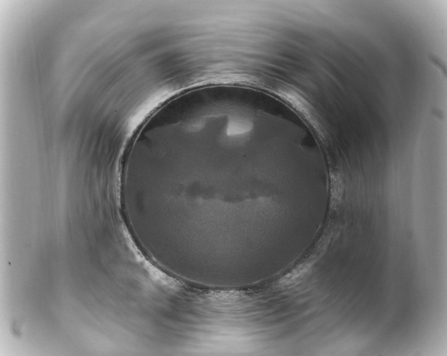 X0000100921046200807011302