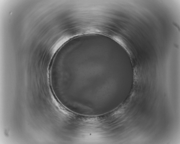 X0000100921047200807011302