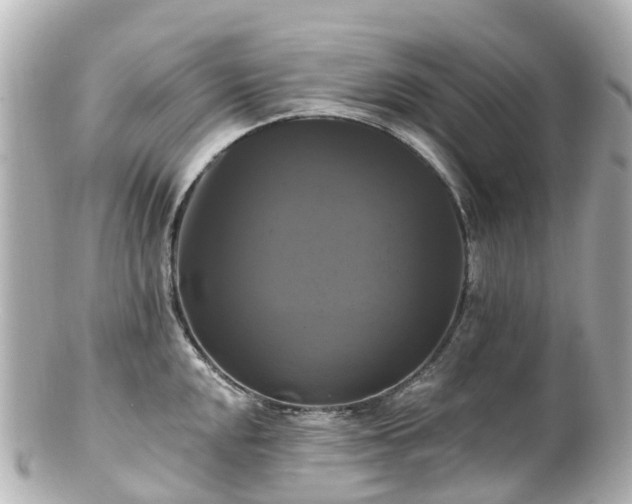 X0000100921048200807011302