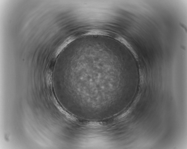 X0000100921049200807011302