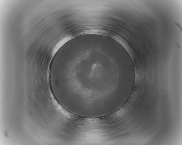 X0000100921050200807011302