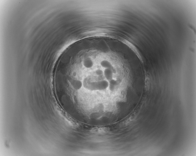 X0000100921051200807011302