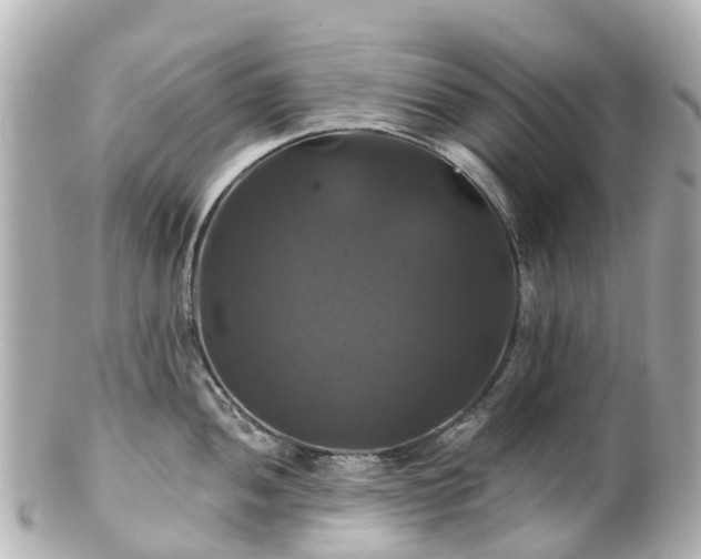 X0000100921052200807011302