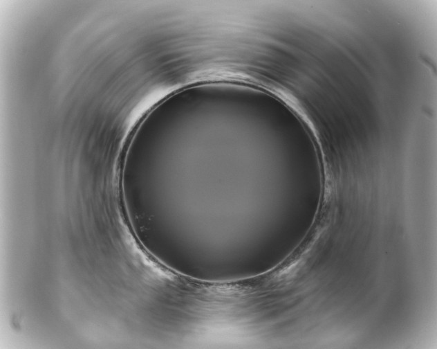 X0000100921053200807011302