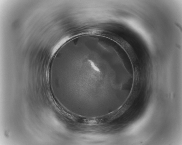 X0000100921054200807011302