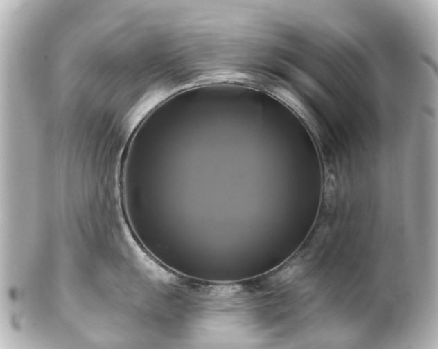 X0000100921055200807011302