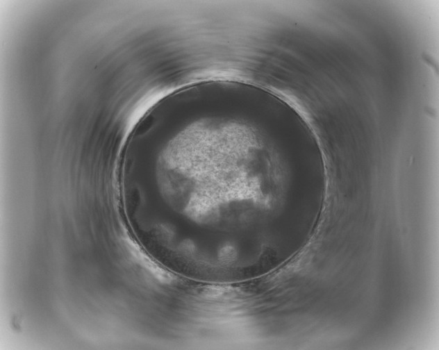 X0000100921056200807011302