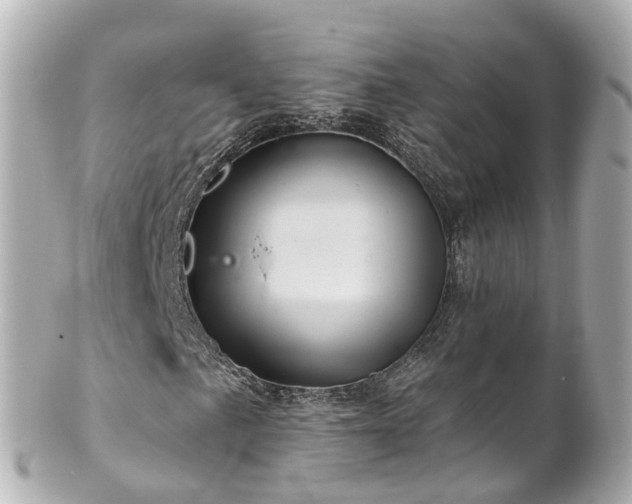 X0000100921057200807011302