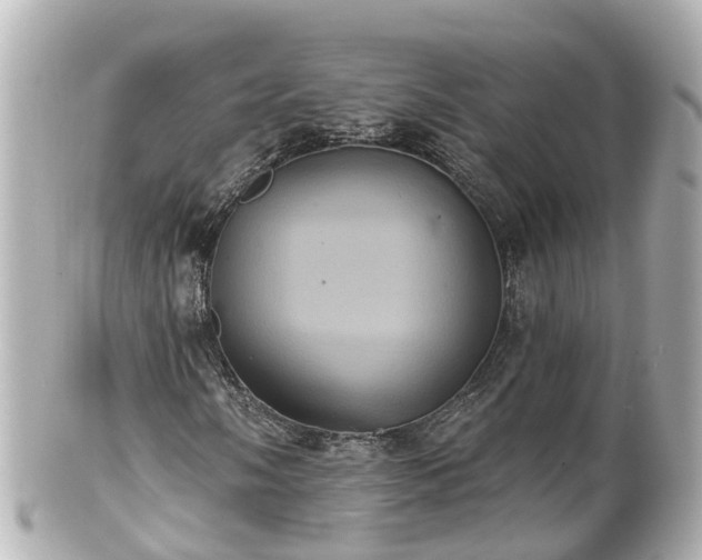 X0000100921058200807011302