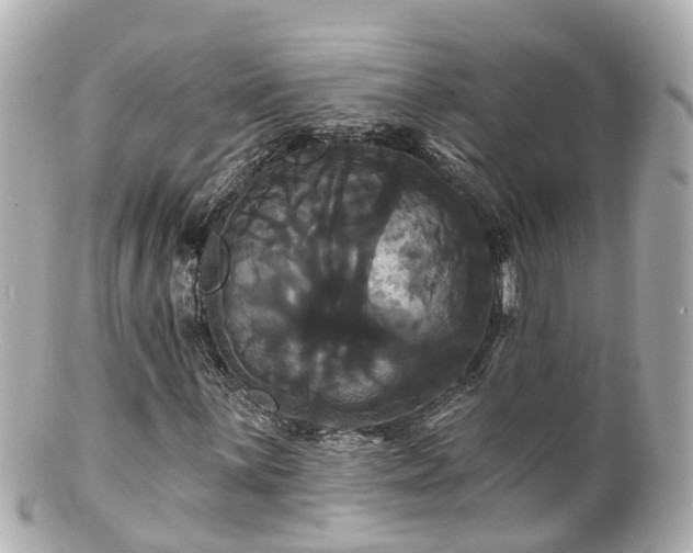 X0000100921059200807011302