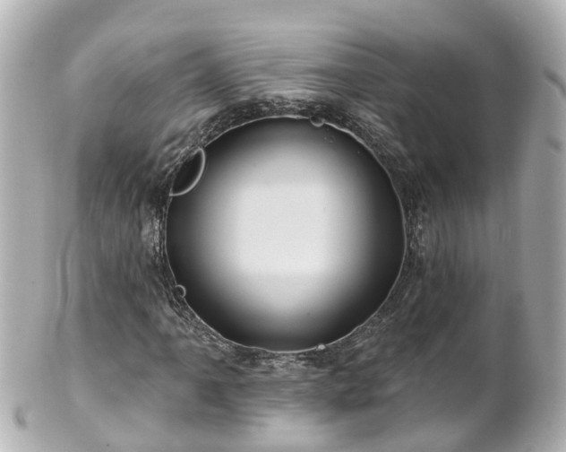 X0000100921061200807011302