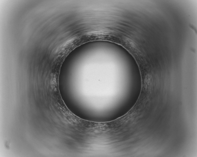 X0000100921062200807011302