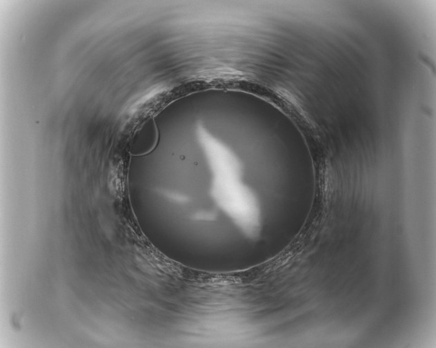 X0000100921063200807011302