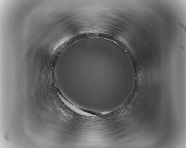 X0000100921064200807011302