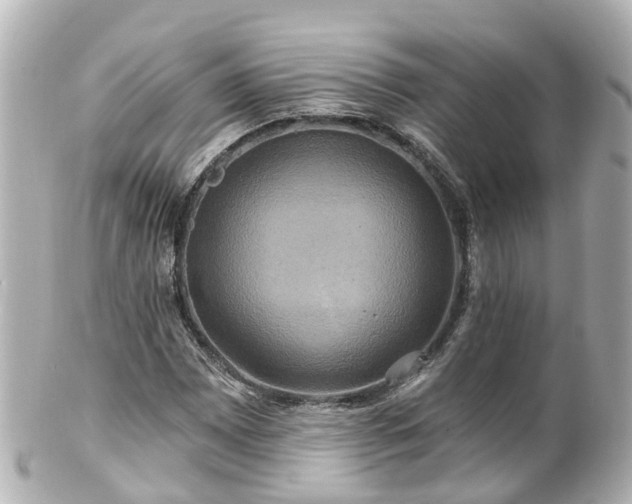 X0000100921065200807011301