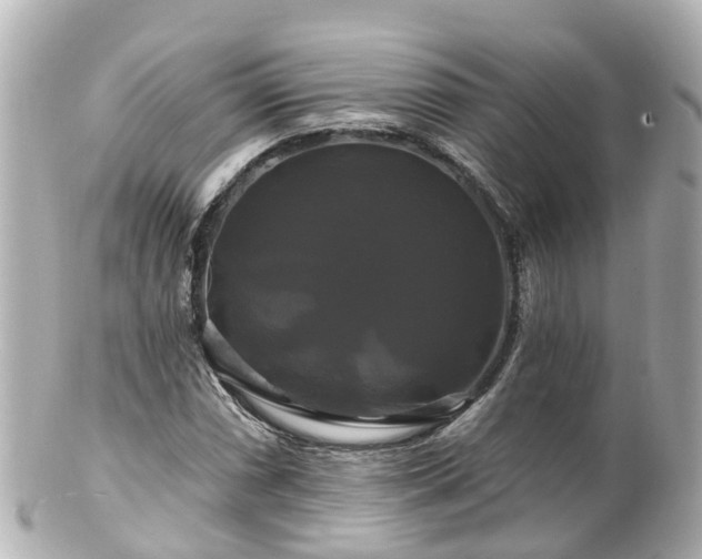 X0000100921066200807011301