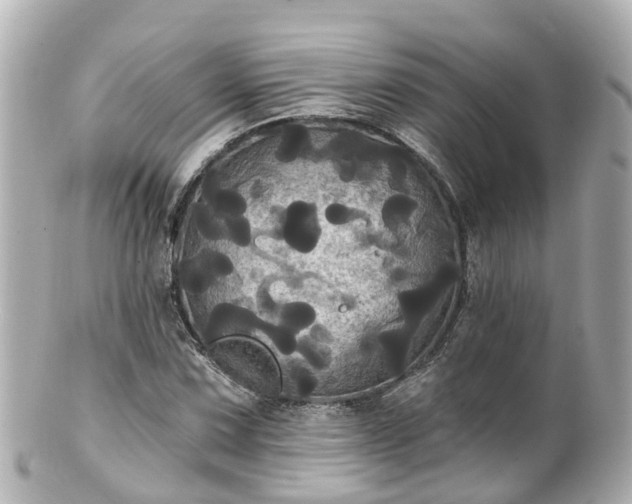 X0000100921067200807011301